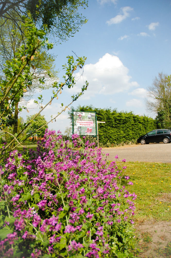 Bed & Breakfast De Kreitsberg Duifhuis Zewnętrze zdjęcie